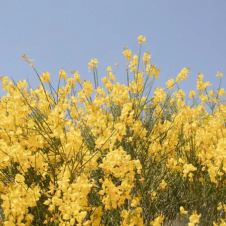 Σπίτι διακοπών Trullo Marili Selva Di Fasano