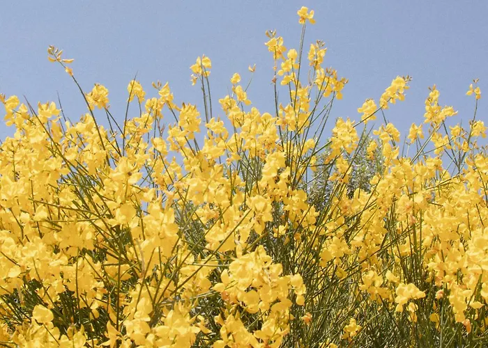 Σπίτι διακοπών Trullo Marili Selva Di Fasano